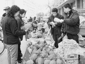大量上市且价格适中 菠萝成水果市场老大(图