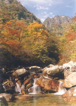 太白山红河谷