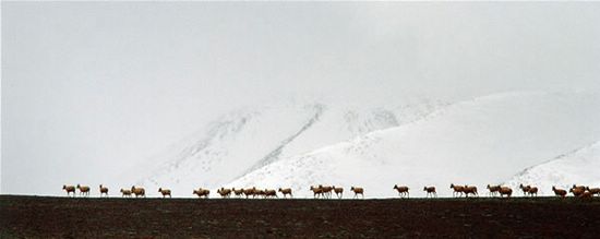 http://photocdn.sohu.com/20070412/Img249391043.jpg
