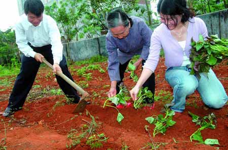 农村新添人口_新农村图片