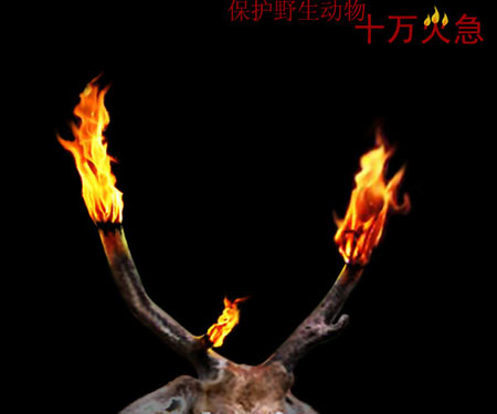 十万火急