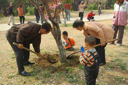 图文:"家庭游"玉渊潭植树 为小树翻土