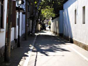 杭州目标做最清洁城市 用房子给垃圾桶装饰(图)