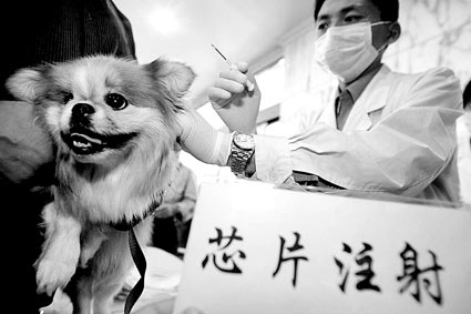 北京为养犬户办理年检 现金奖励符合规定者(图