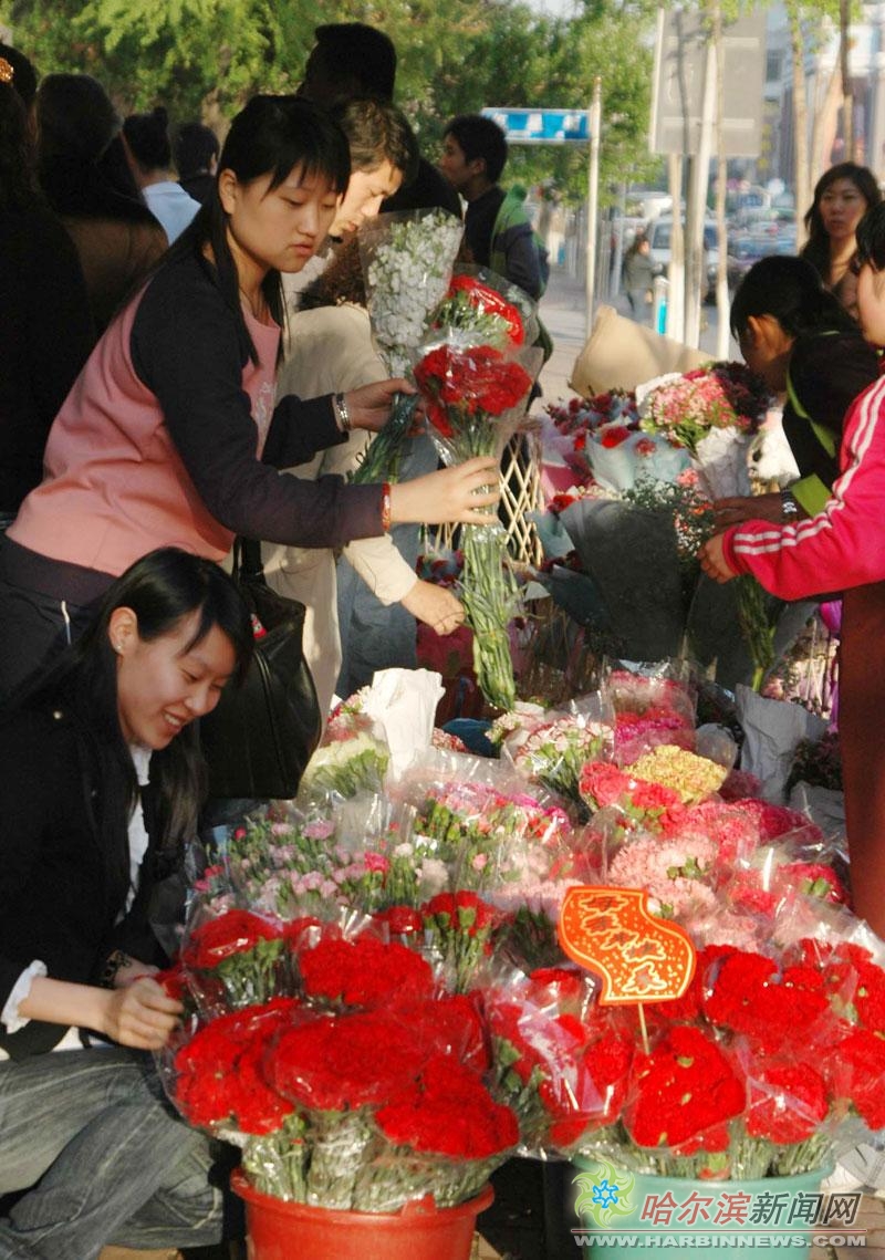 哈市各街头花店内康乃馨鲜花销售异常火爆(图