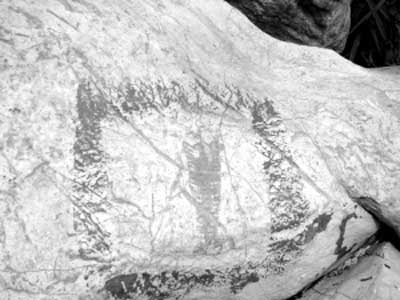 石家庄发现古生物化石群 最大角石化石长20厘