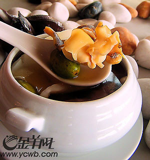 鲍鱼花胶炖响螺;橄榄螺肉对对碰;;茭白橄榄素炒怎么做好吃图片