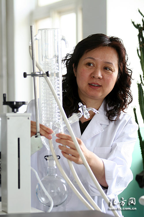 天津工业大学材料科学与化学工程学院院长陈莉