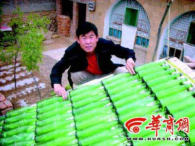 陕西农民处于经济拮据 用啤酒瓶自制热水器(图