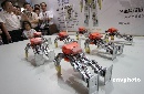图文：科博会奥运成热门主题  机器人俯卧撑