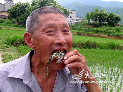 上饶男子活吞蛙鼠40年(图)