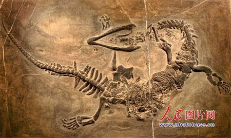 http://photocdn.sohu.com/20070611/Img250501733.jpg