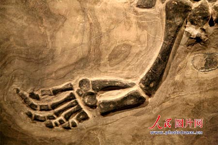http://photocdn.sohu.com/20070611/Img250501738.jpg