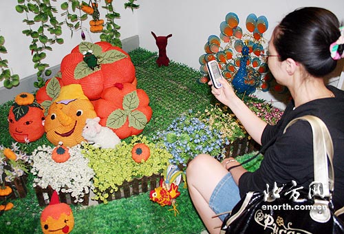 天津市妇女手工编织品展销会将于6月24日举行