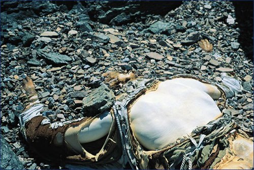 组成的名叫"马洛里-欧文"的美国登山队在珠峰北坡发现了马洛里的尸体