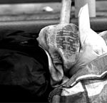 2003年SARS期间，香港流浪汉蒙着面罩睡在马路边