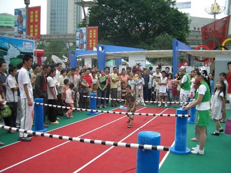 图文：伊利奥运健康中国行重庆现场 跨栏比赛