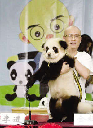 松狮染成熊猫要花上千元宠物美容利润丰厚(图