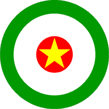 苏里南空军飞机国籍标志
