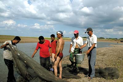 7月的一个下午，屯子里的年轻人正在嫩江江汊上打鱼。屯中的老人们都记得，“以前鱼大”，如今，却只有一些竹签般的小鱼坚硬地钉在他们的渔网上。本报记者 王轶庶／图