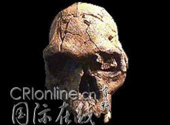 人类进化史改写 能人 直立人 并存50万年(图)