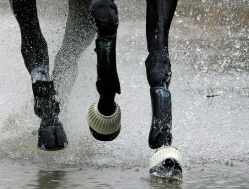 图文：[马术]奥运香港测试赛 马蹄急水花飞溅