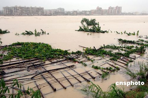 福安地区人口_福安一中图片(3)