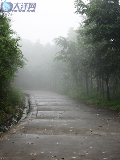 烟雾迷蒙的山路