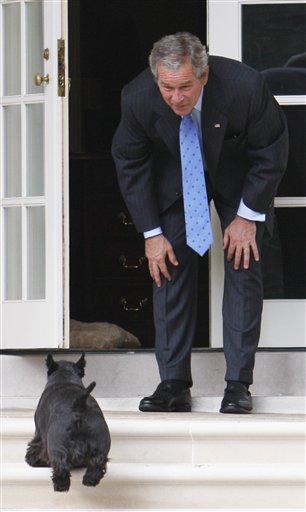 9月28日，美国总统布什结束国务院的会议后，在白宫与他的小狗“巴尼”嬉戏。