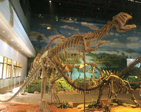 增长知识之旅 自贡恐龙博物馆