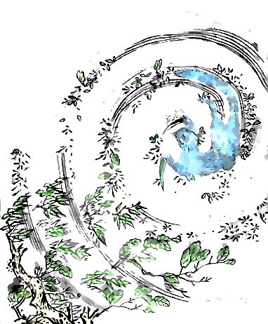 七尾·貉