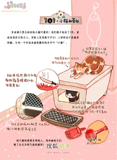 《羞怯的城市》第三章