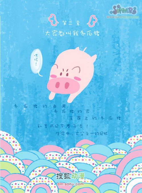 《我的家在西双版纳》第二章