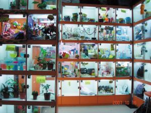 广州高校风行格子铺 租用橱窗寄卖商品(图)