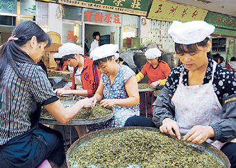 满山茶树满山金(图)