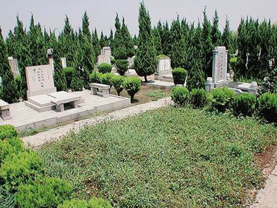 王菲母亲的墓地