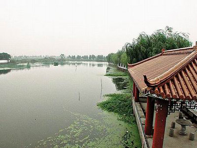 王菲母亲墓地能望向人造湖，景观开阔