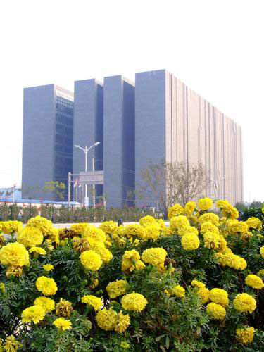 图文:数字北京大厦竣工 鲜花掩映中的数字大厦