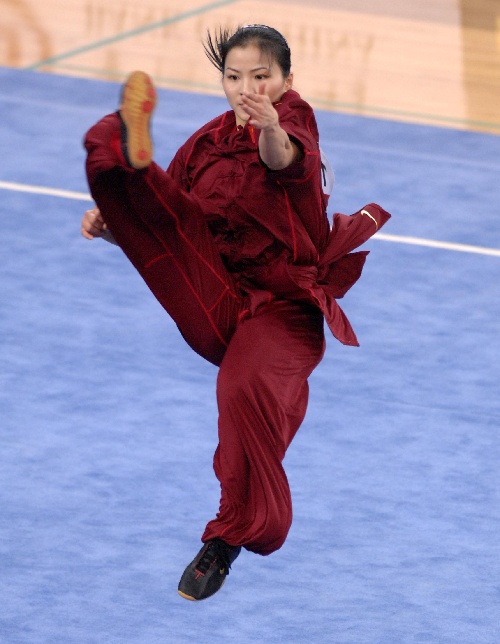 林凡;; 2008年 北京2008武术比赛女子南拳南刀全能项目冠军