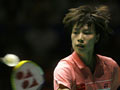 2007中国羽毛球公开赛,2007中国羽毛球超级赛,林丹,谢杏芳,陶菲克,鲍春来