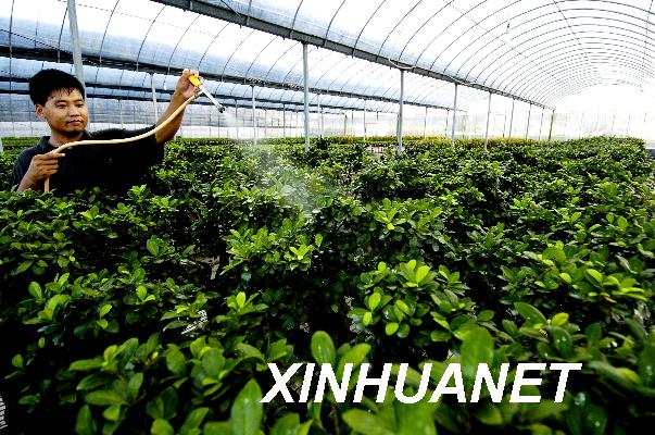 国家工商总局发布台湾农民到大陆创业利好消息