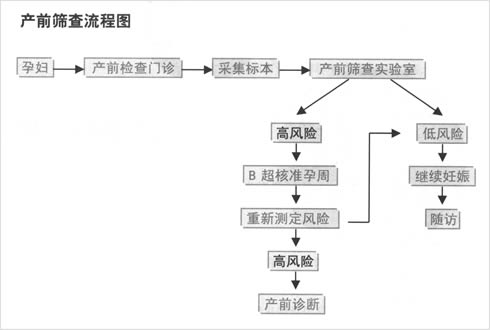 产检之产前筛查