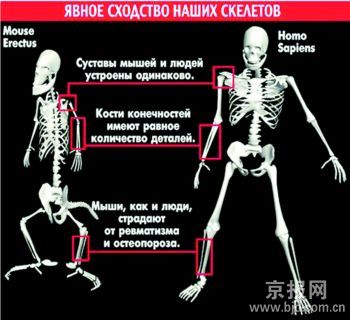 关于太极拳与人体结构的在职研究生毕业论文范文