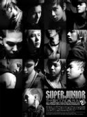 ר SuperJuniorDon't Don