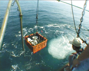 当年考古工作者把“南海Ⅰ号”中的部分文物打捞出水。（资料图片）