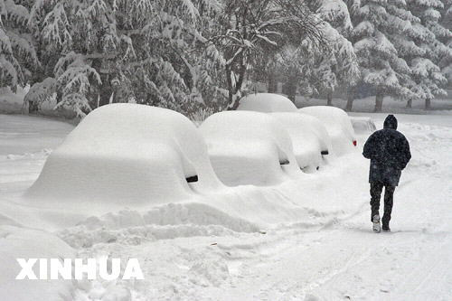 海外连线:暴风雪中的各色汽车(组图)
