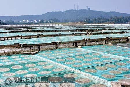 广西北海发现河豚加工厂 查获近5吨河豚肉制品