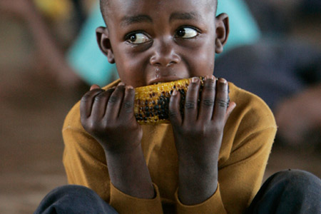 1月9日,肯尼亚奈洛比,一名逃难的儿童在啃玉米