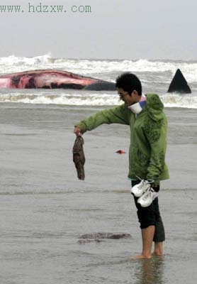 鲸鱼肉拿还是不拿，最后这名学生还是放下了。图片来源：海峡都市报
