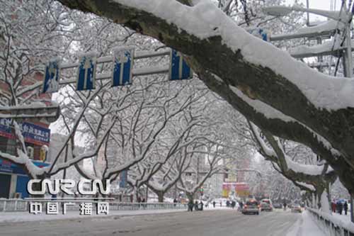 持续暴雪使南京城银装素裹(组图)